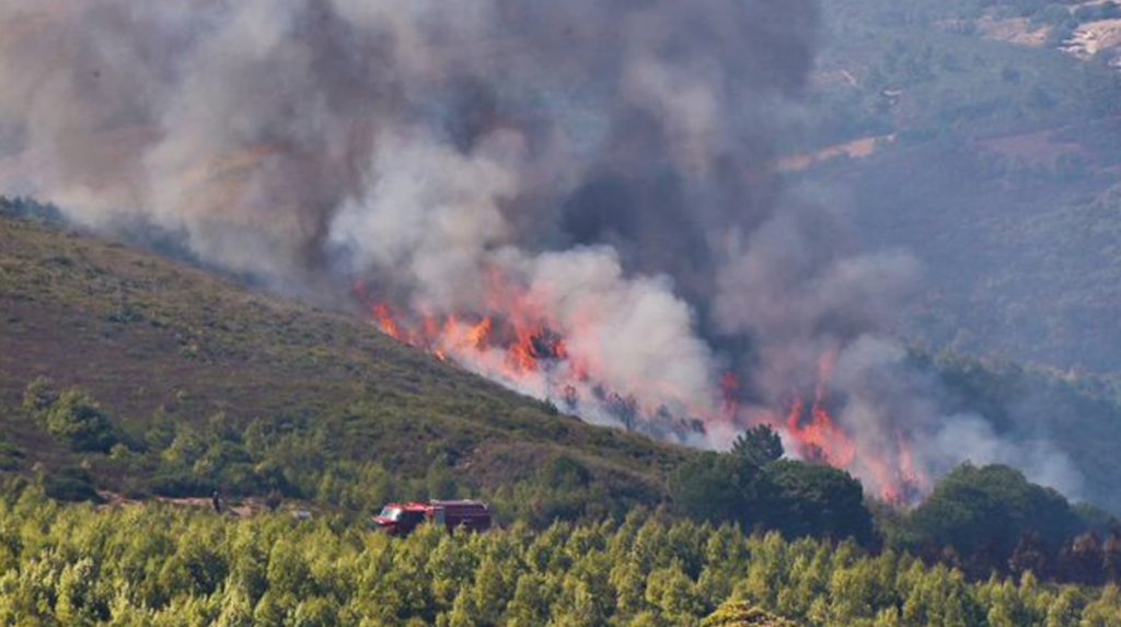 وزير الفلاحة يزور المناطق المتضررة من الحرائق مرفوقا برئيس مجلس جهة طنجة تطوان الحسيمة