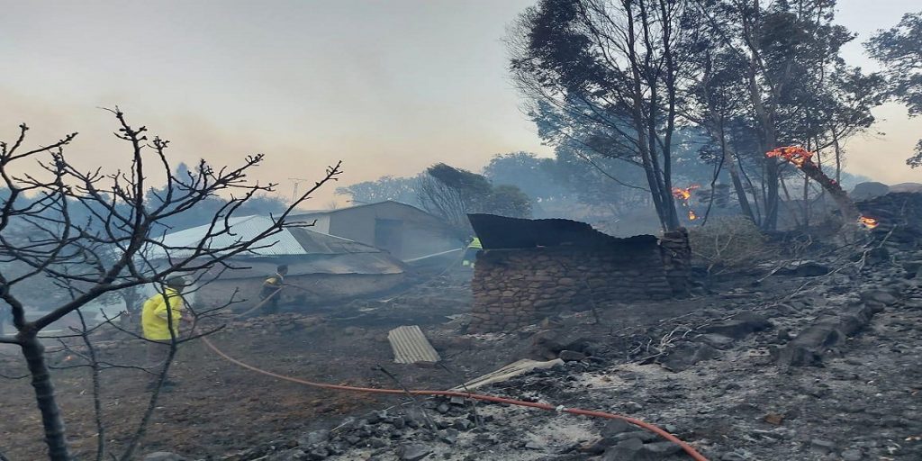 إقليم وزان.. حريق غابة “جبل أمزيز” أتى على حوالي 400 هكتار وجهود الإطفاء ما زالت متواصلة