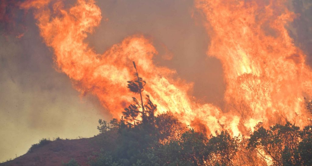 الحرائق بإقليم وزان تأتي على 400 هكتار دون تسجيل أية خسائر بشرية