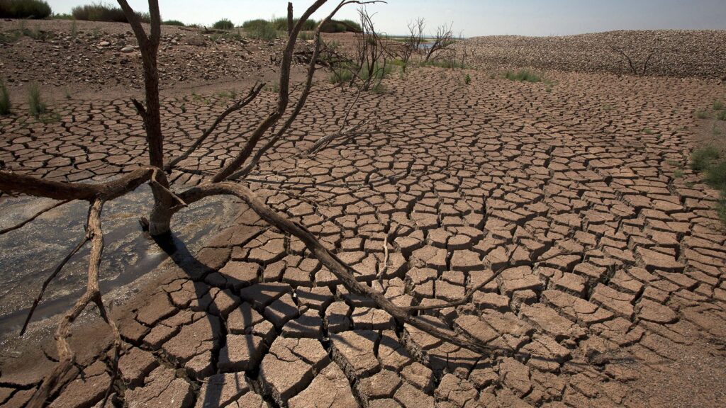 المغرب يواجه ندرة المياه في القطاع الفلاحي من خلال العديد من البرامج والتدخلات
