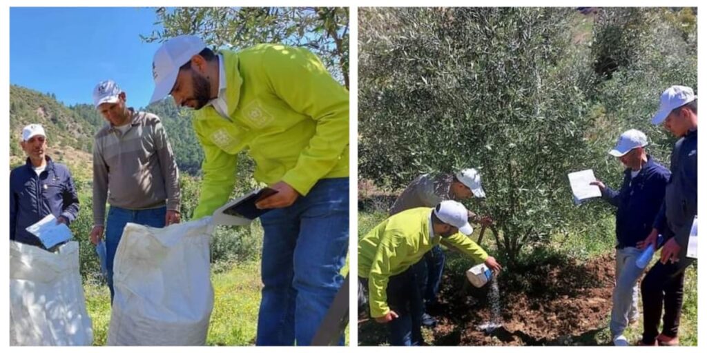 آلية “المثمر المتنقل” الموجهة لزراعة الزيتون تحط الرحال ببني ملال
