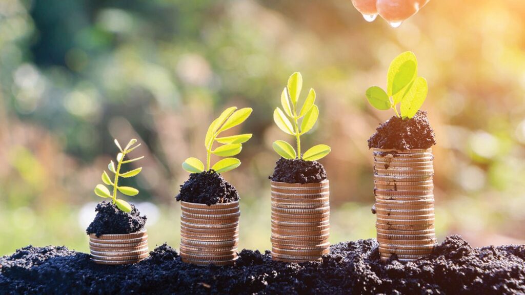 الاستثمارات الخضراء.. صحيفة من مقدونيا الشمالية تسلط الضوء على طموحات المملكة