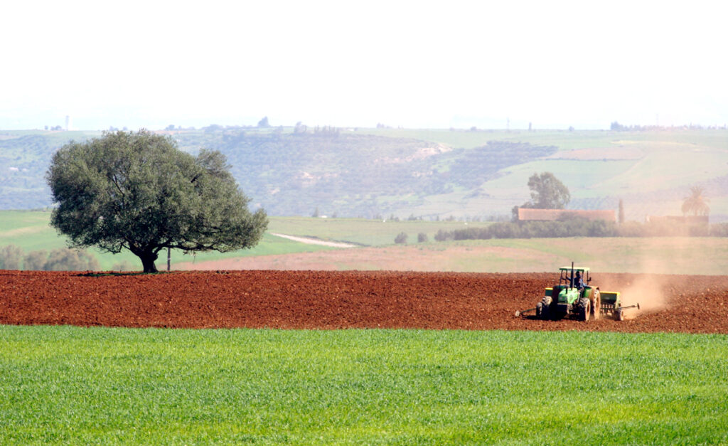 يجو يكشف تأثير التساقطات المطرية الأخيرة على الموسم الفلاحي بمكناس