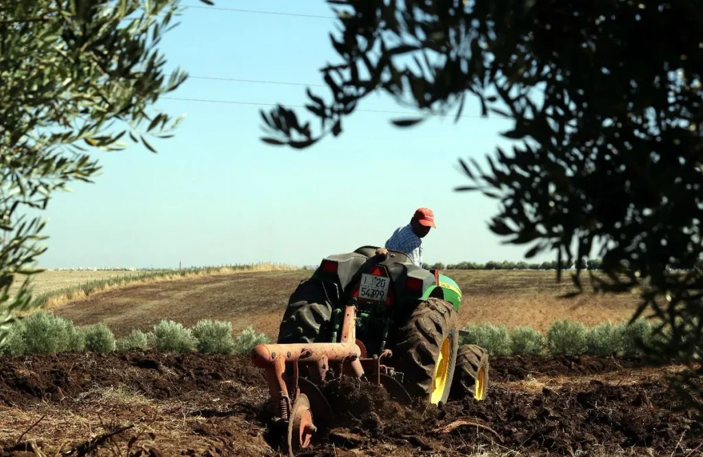 بني ملال خنيفرة: أزيد من 2500 هكتار حجم المساحة المزروعة بالخضروات