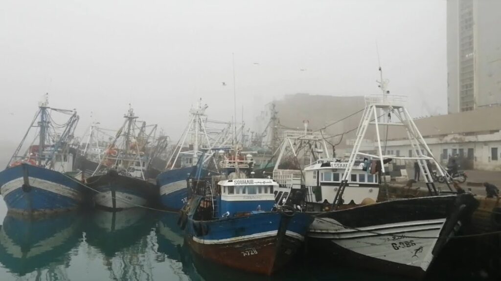 ميناء آسفي شبه مشلول بسبب منع صيد السردين