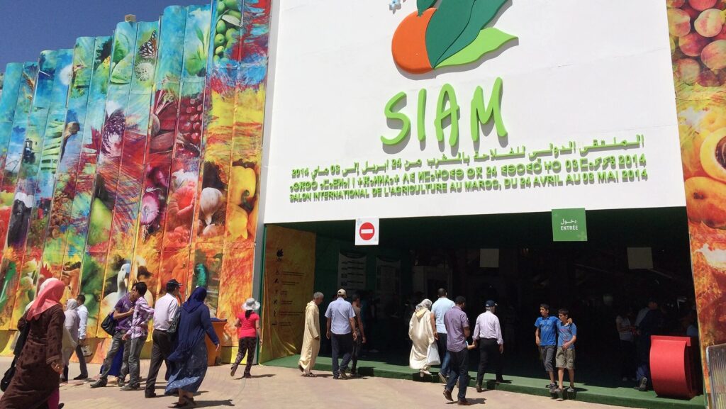 تمديد فترة أهلية  ترشيحات لجائزة الوطنية الكبرى للصحافة في المجال الفلاحي والقروي