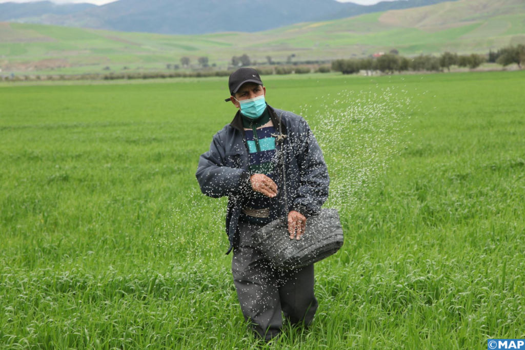 الرشيدية.. دورة تكوينية حول ريادة الأعمال في المجال الفلاحي