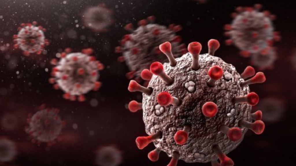 كوفيد-19: 86 إصابة جديدة وأزيد من 6 ملايين و 885 ألف شخص تلقوا الجرعة الثالثة من اللقاح