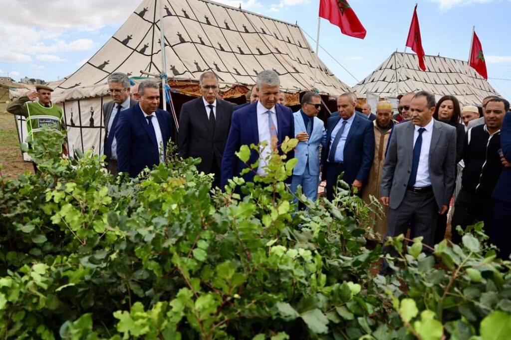 استراتيجية الجيل الأخضر: إطلاق مشاريع للفلاحة التضامنية بإقليمي اليوسفية وآسفي