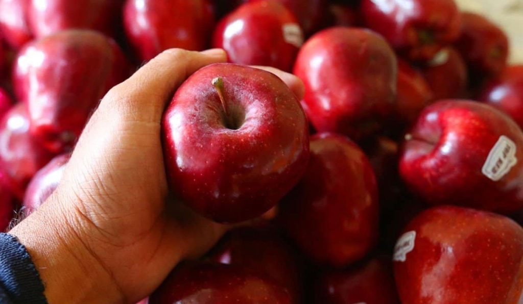 معدل واردات التفاح إلى المغرب يرتفع بنسبة 50 % مقارنة بسنة 2020