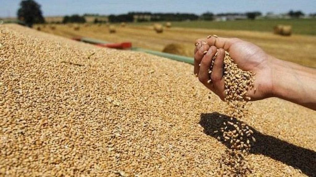 ارتفعت بنسبة 625 %.. احتجاجات تصاحب زيادة إسبانيا واردات الحبوب من المغرب