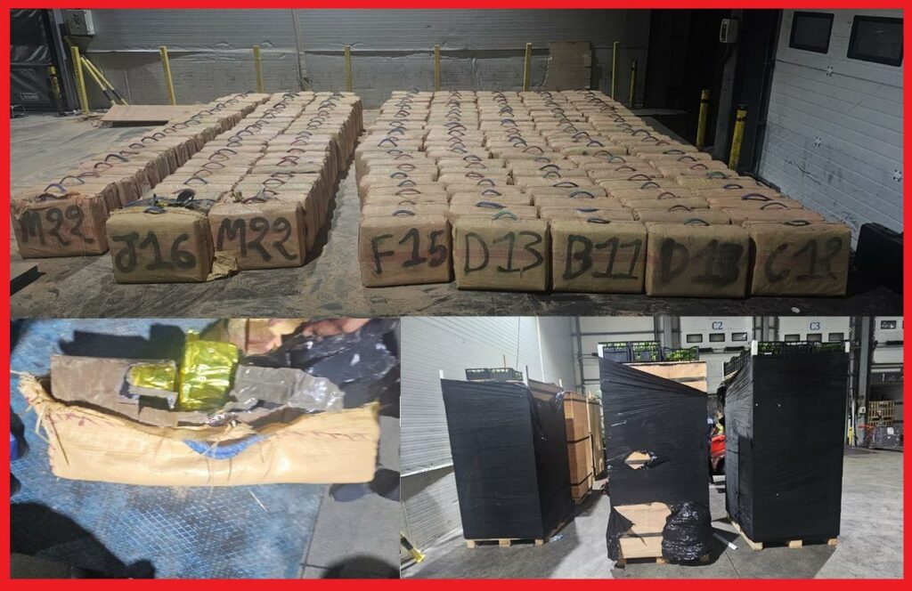 إجهاض محاولة لتهريب المخدرات بورزازات