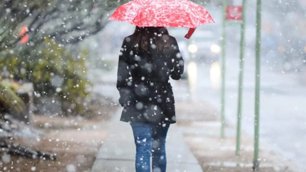 طقس بارد وصقيع بعدد من مناطق المملكة اليوم السبت