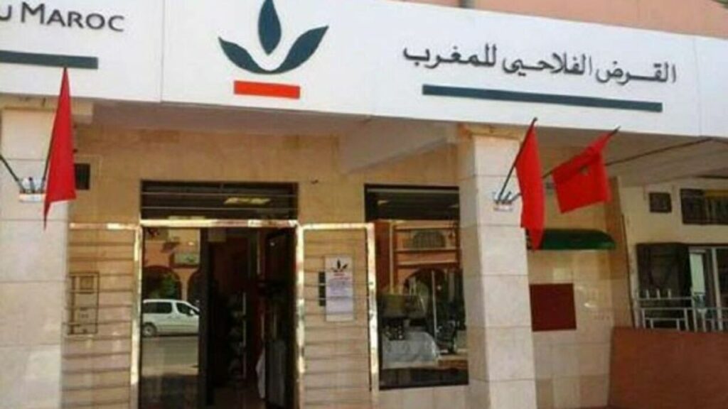 القرض الفلاحي: ارتفاع النتيجة الصافية للمجموعة بـ 2 في المائة
