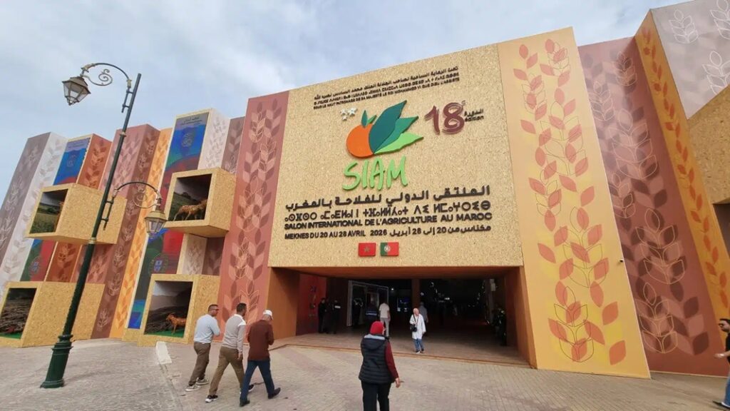 الملتقى الدولي للفلاحة بالمغرب.. تحسيس التلاميذ بثقافة الاقتصاد في الطاقة