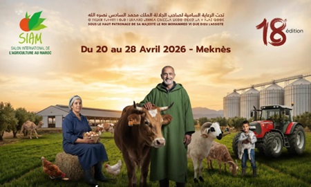 الملتقى الدولي للفلاحة بالمغرب 2026.. شراكة مغربية أممية لتثمين نُظم التراث الزراعي وتعزيز استدامتها