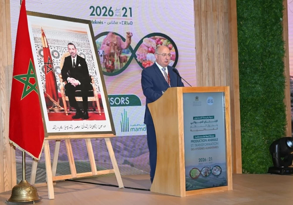 الإنتاج الحيواني بالمغرب يساهم بحوالي 35 في المائة من الناتج الداخلي الخام الفلاحي