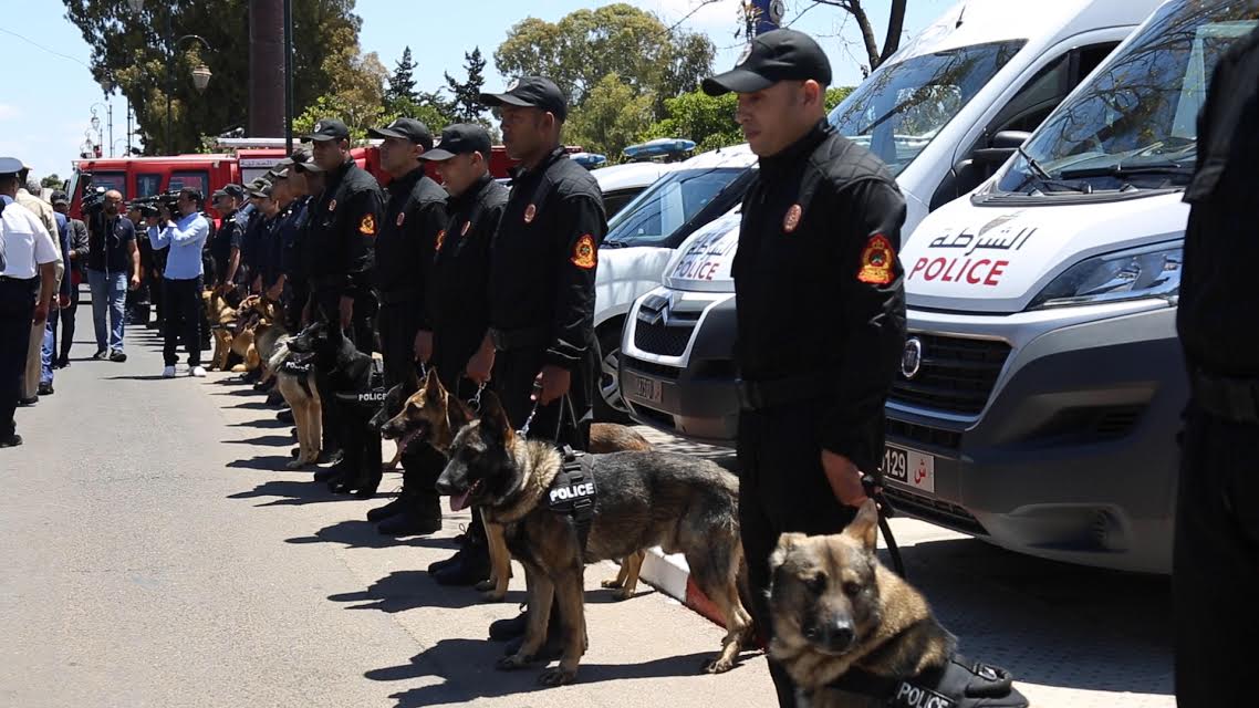 الأمن الوطني يدرّب عناصر مالية على تقنيات الكلاب البوليسية لتعزيز التعاون الأمني الإفريقي