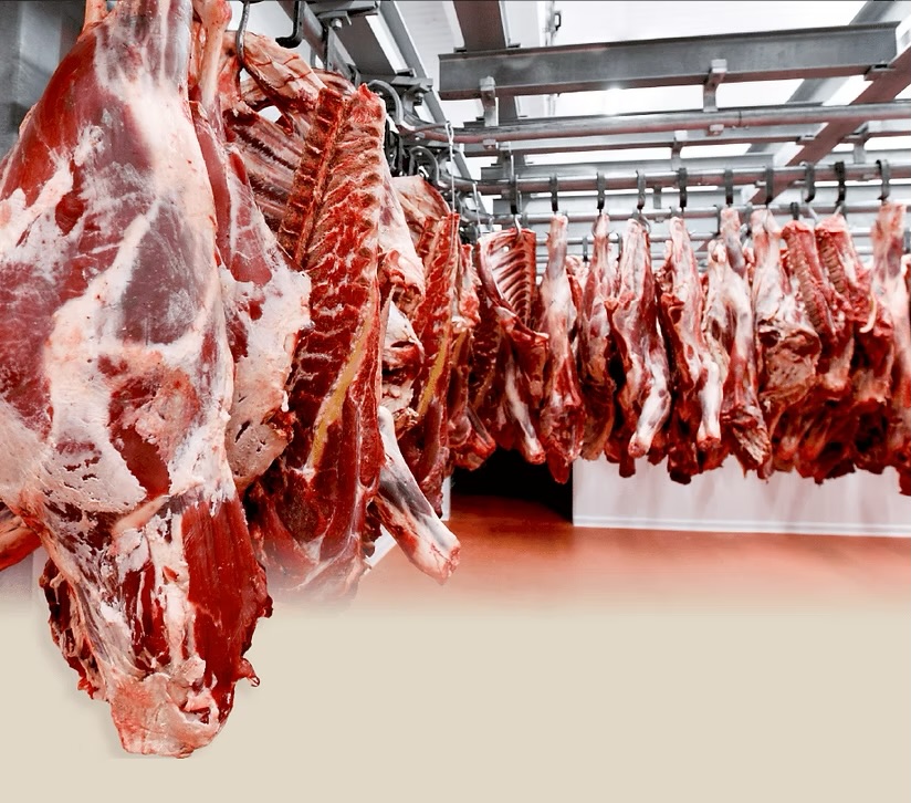 مجازر الدار البيضاء تجدد شهادات الجودة والحلال ISO 9001 وISO 22000 وتعزز التزامها بالمعايير الصحية