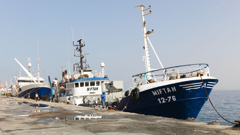 تراجع حاد في مفرغات الصيد بميناء الداخلة خلال الربع الأول من 2026