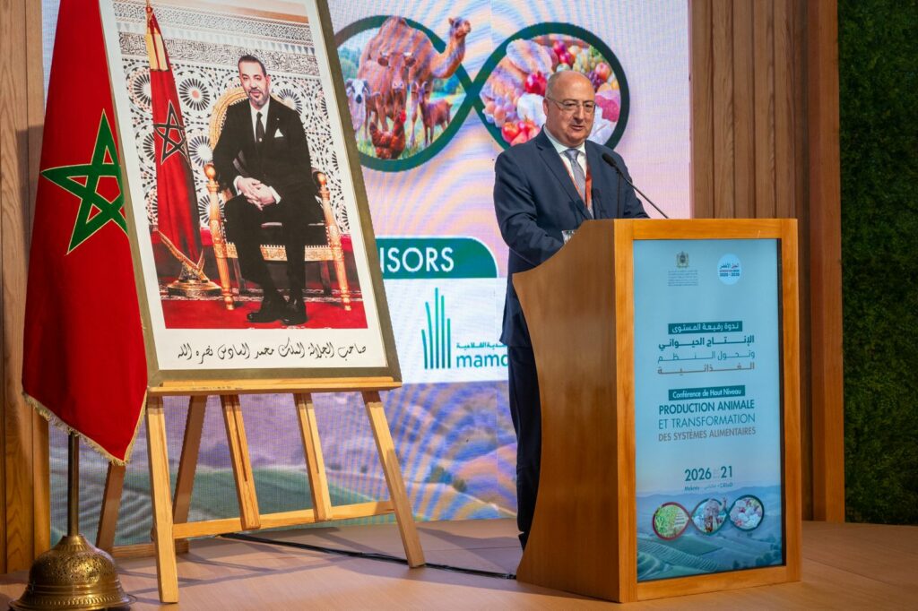 محصول قياسي مرتقب: حبوب المغرب تقترب من 90 مليون قنطار في 2026