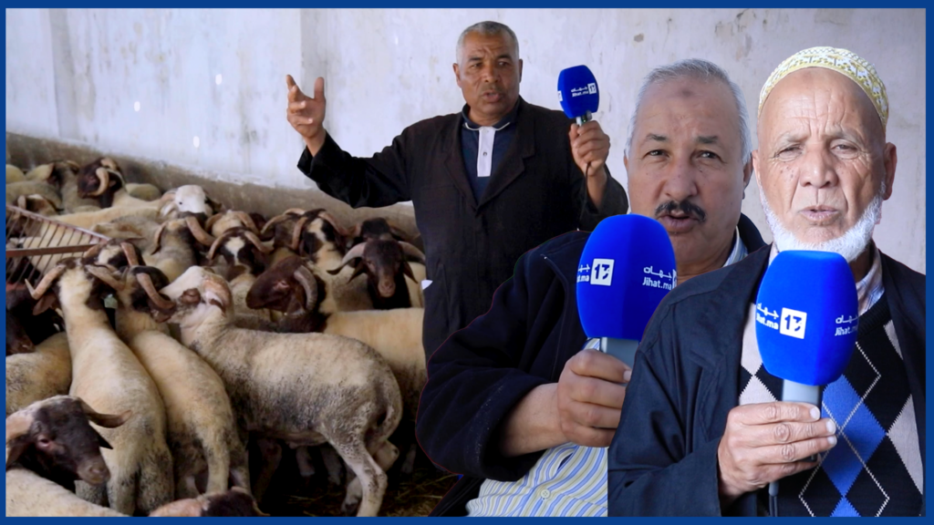 من “بوطوار” الحي المحمدي: الحولي متوفر… وهذا هو ثمنه!