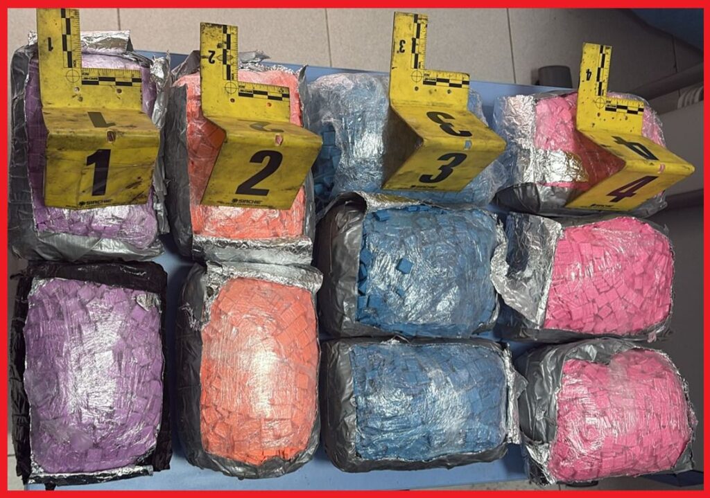 إحباط تهريب 19 ألف قرص “إكستازي” مخبأة داخل شحنة غذائية بميناء طنجة المتوسط