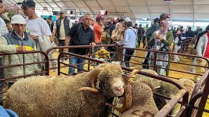 الملتقى الدولي للفلاحة بالمغرب.. صغار مربي الماشية في صلب معادلة السيادة الغذائية