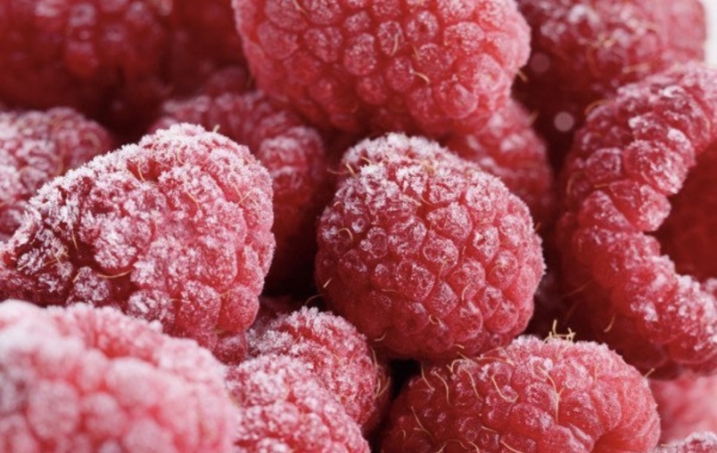 المغرب يرسخ حضوره في سوق التوت المجمد بأوروبا بأرقام قياسية