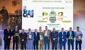 مكناس: تتويج نخبة من منتجي زيت الزيتون في مسابقة الجودة ضمن “سيام 2026”