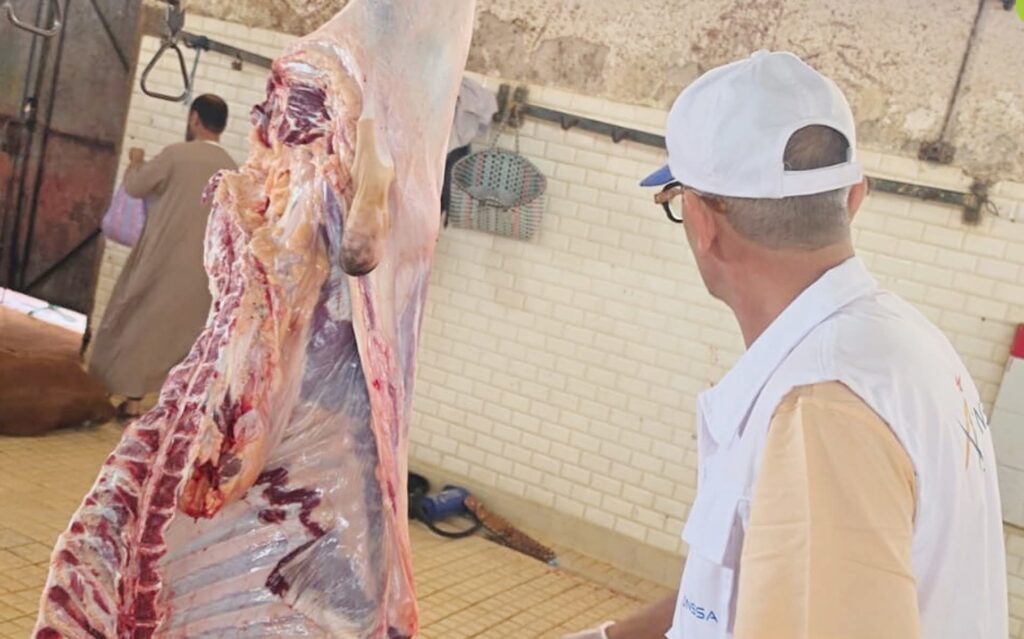 حصيلة عيد الأضحى.. تدخلات ميدانية واسعة و”أونسا” تطمئن المغاربة بشأن سلامة اللحوم