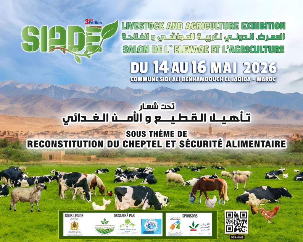 الجديدة تحتضن حدثاً دولياً بارزاً.. انطلاق النسخة الثالثة للمعرض الدولي لتربية المواشي والفلاحة بسيدي علي بن حمدوش