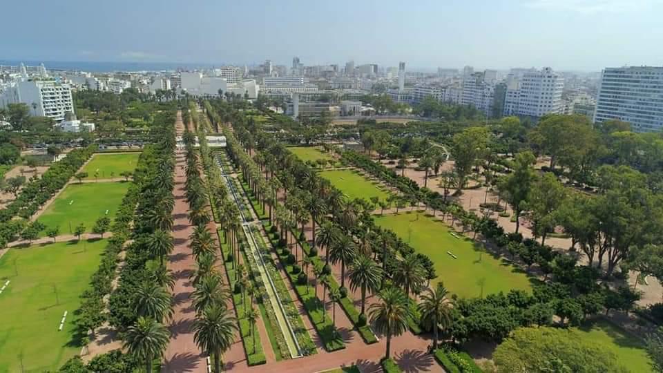 تفويت مثير للجدل يهز الدار البيضاء..هل انتهى زمن الوفاء للمقاومين؟
