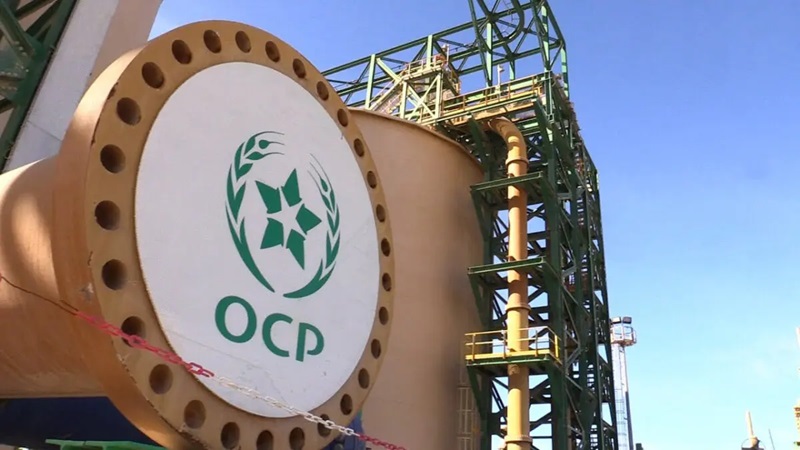 OCP ضمن أفضل 50 شركة كيماويات عالمياً بقيمة 603 ملايين دولار وهيمنة قوية على سوق الفوسفاط