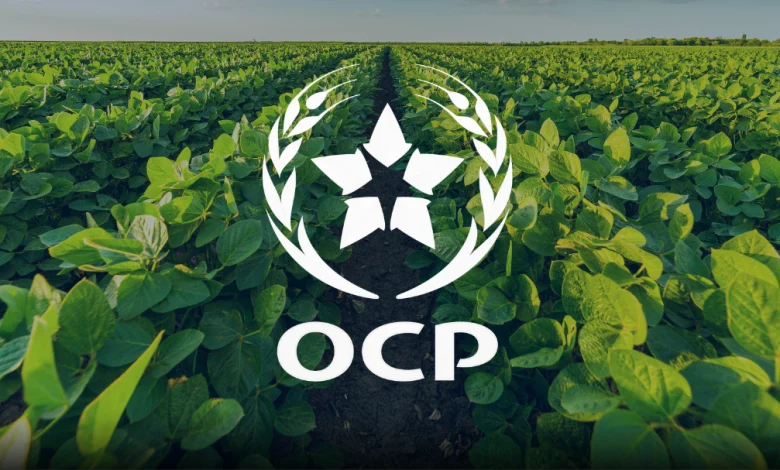 البنك الإفريقي للتنمية وOCP يوقعان اتفاق ضمان تمويل أخضر بـ 450 مليون أورو