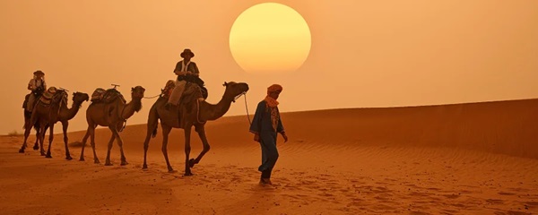 المعرض الدولي للنشر والكتاب: الصحراء المغربية فضاء للتفاعل الحضاري والجسور الثقافية