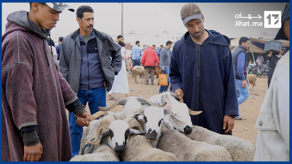 أسعار “الحولي” ترتفع بسوق السبيت والزبناء بين الشراء والتردد