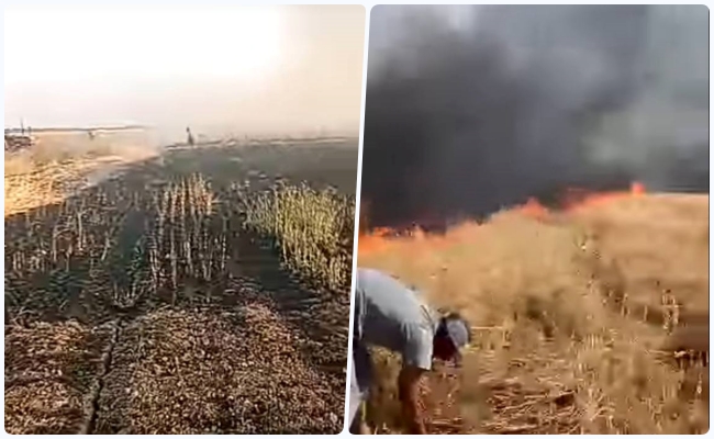 خسائر كبيرة لمحاصيل زراعية بأولاد زيان في إقليم برشيد بعد حرائق مهولة