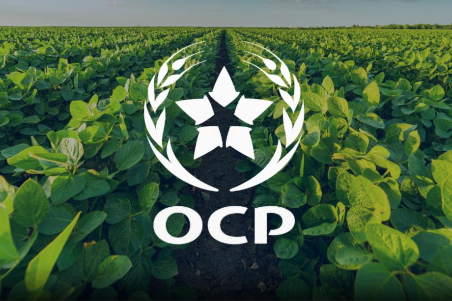 مجمع OCP يوقع عقد توريد 60 ألف طن من الأسمدة إلى بنغلاديش