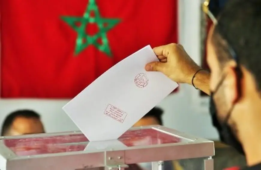 15.8 مليون ناخب.. والشباب الحلقة الأضعف في اللوائح