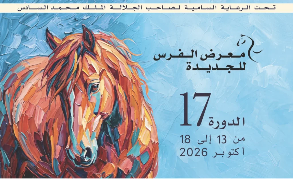 معرض الفرس بالجديدة يحتفي بأصالة الخيل بأربع مسابقات كبرى