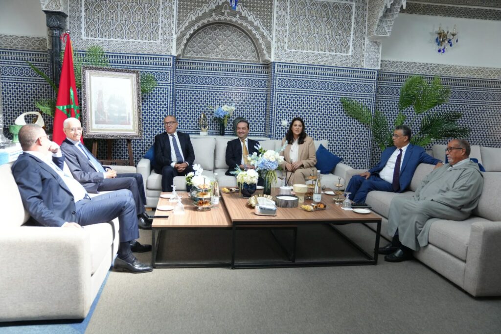 المنصوري تستسهل مشاورات تشكيل الأغلبية الحكومية