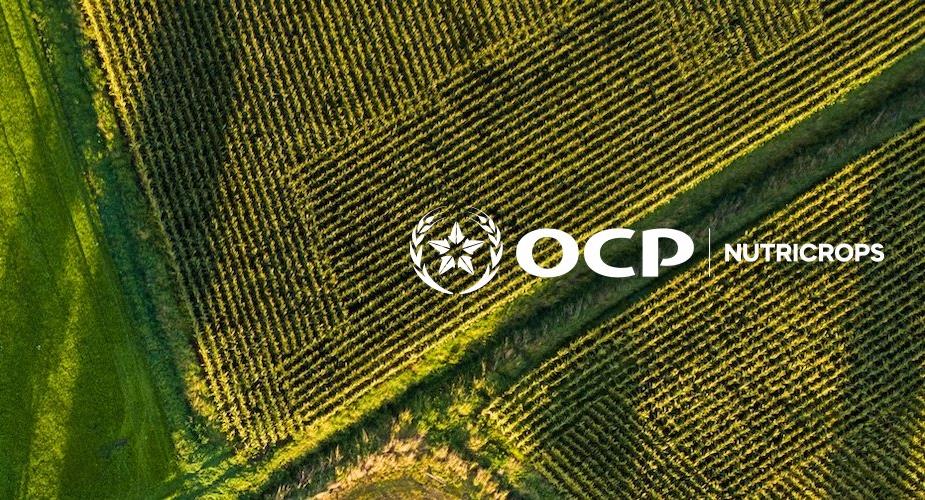 OCP Nutricrops تعزز شراكتها مع البرازيل باتفاق لتزويدها بـ3.8 ملايين طن من الأسمدة
