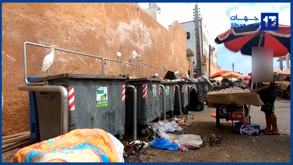 سيدي بليوط بلا زواق… خمس سنين دازت، فين هي الحصيلة؟