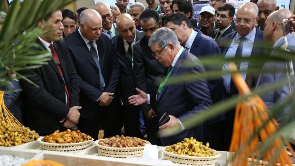 أرفود تفتتح ملتقى التمر.. إنتاج قياسي مرتقب ورهان تثمين الواحات