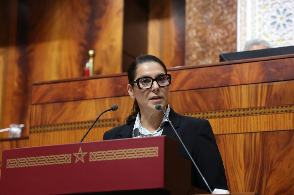المنصوري تراهن على دعم فواتير الكهرباء وإصلاح الضرائب لمواجهة الغلاء