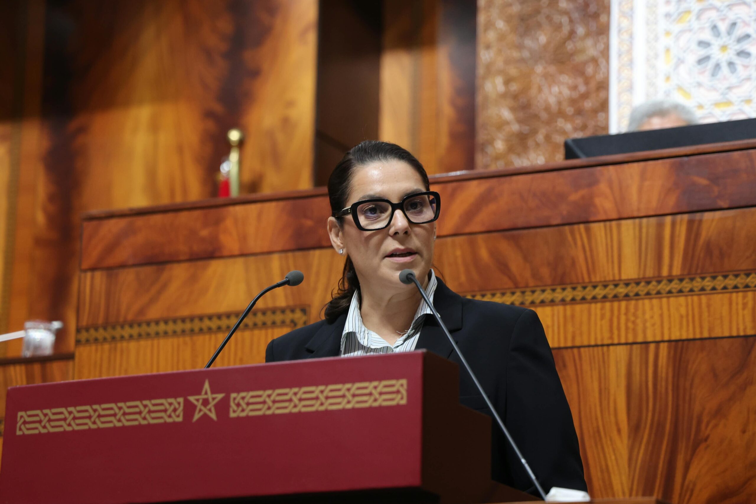 المنصوري تراهن على دعم فواتير الكهرباء وإصلاح الضرائب لمواجهة الغلاء