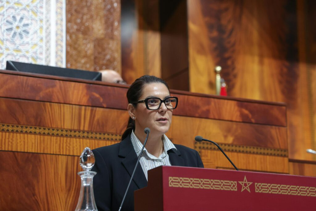 السياسة الخارجية ركيزة من ركائز البرنامج الحكومي