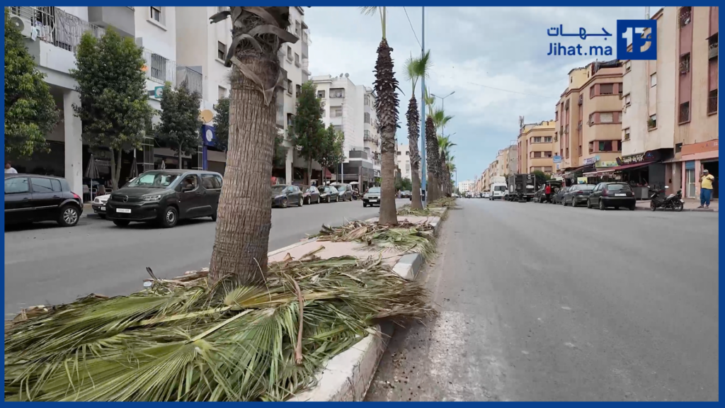 عمالة النواصر.. الرحمة 2 بلا زواق: النخيل تقلم والمخلفات بقات فوق الرصيف!