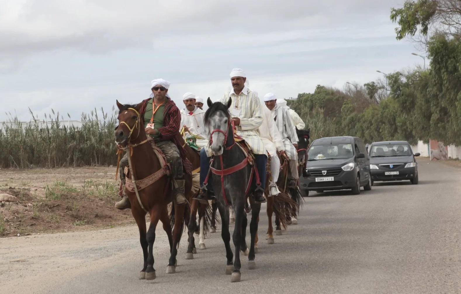 من خنيفرة إلى الجديدة.. 400 كلم على صهوات الخيل